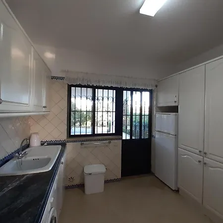 Beautiful Gaivota